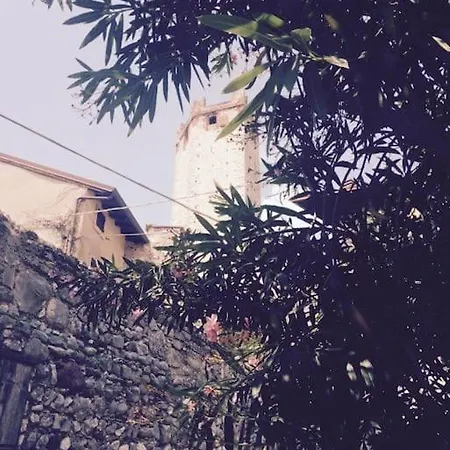 度假居 Wedding And Family House *